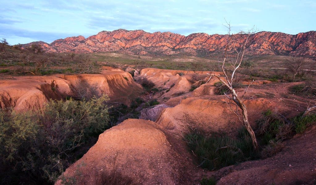 Red ranges catching low light across the Flinders Ranges