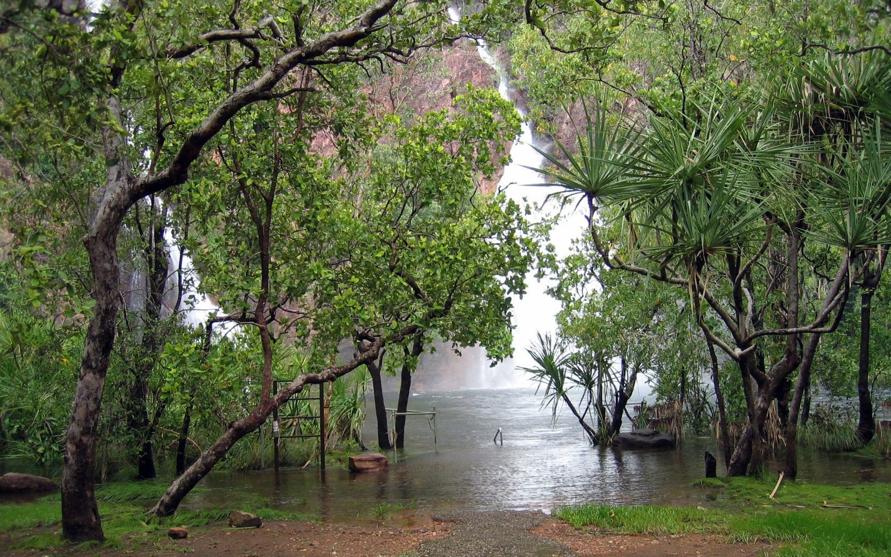 A waterfall and monsoon forest in Litchfield National Park