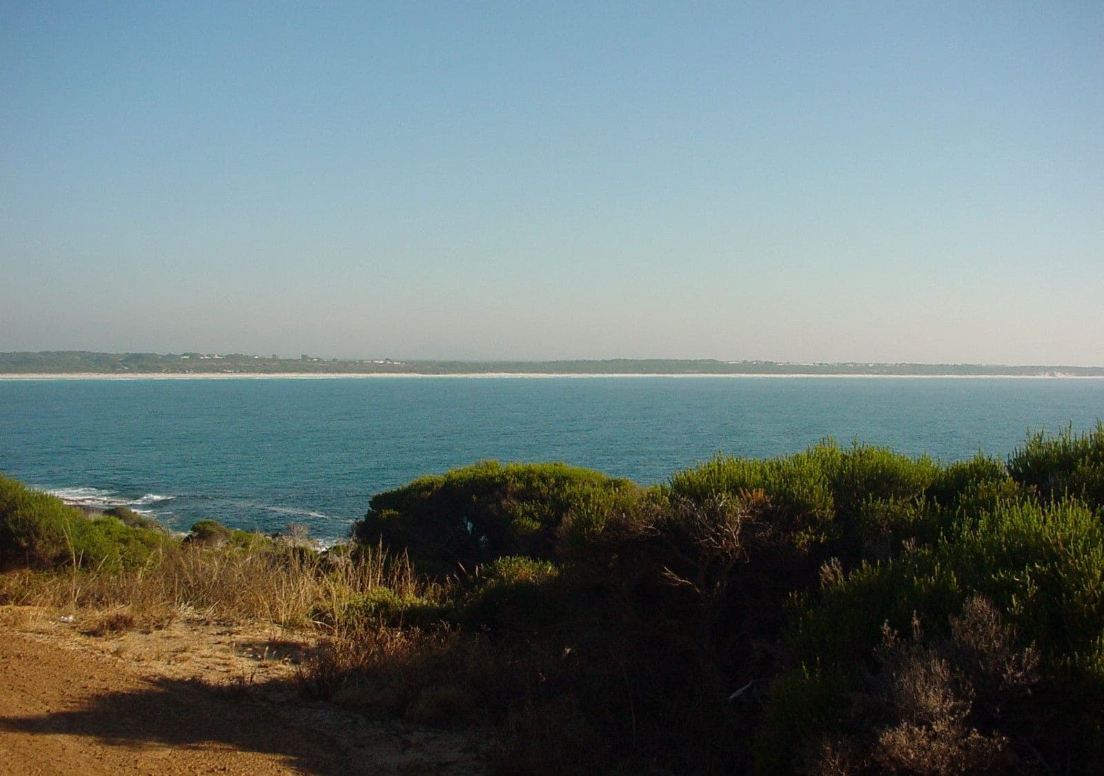 Coastline and heath in Western Australia